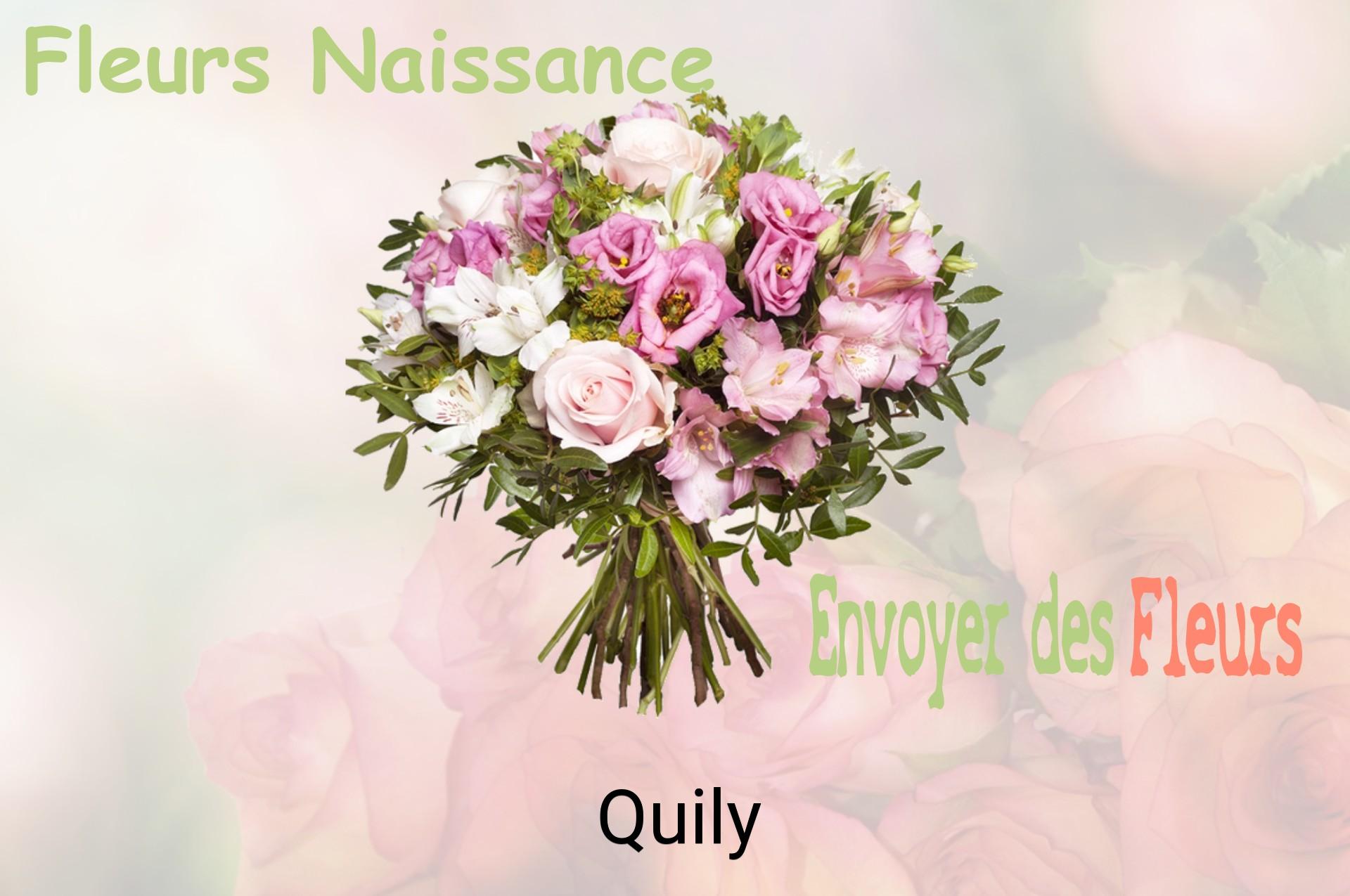 Bouquet de fleurs de naissance livré à Quily